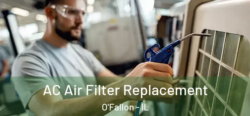 AC Air Filter Replacement O'Fallon - IL