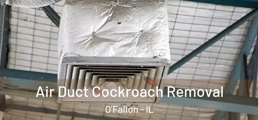Air Duct Cockroach Removal O'Fallon - IL