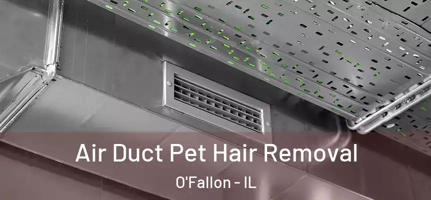 Air Duct Pet Hair Removal O'Fallon - IL