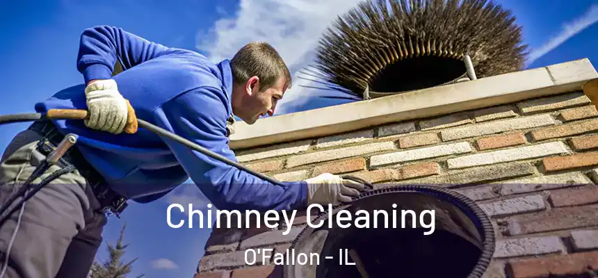  Chimney Cleaning O'Fallon - IL