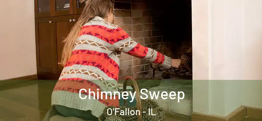  Chimney Sweep O'Fallon - IL