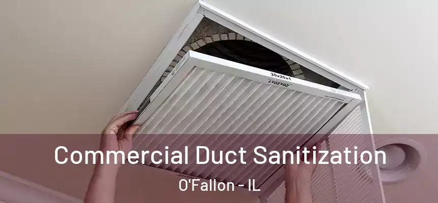  Commercial Duct Sanitization O'Fallon - IL