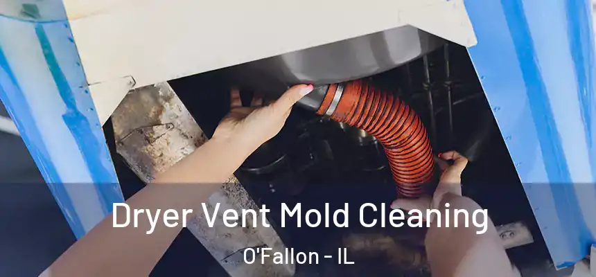  Dryer Vent Mold Cleaning O'Fallon - IL