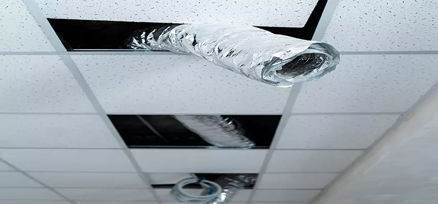 Affordable HVAC Sanitizing After Pest Removal in O'Fallon