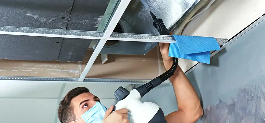 Our Air Duct Rodent Removal Services in O'Fallon, IL
