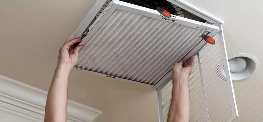 Our Insect Removal from Air Ducts Services in O'Fallon, IL