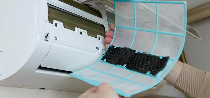 Gentle Ductwork Odor-Control Pet Dander Duct Cleaning in O'Fallon, IL