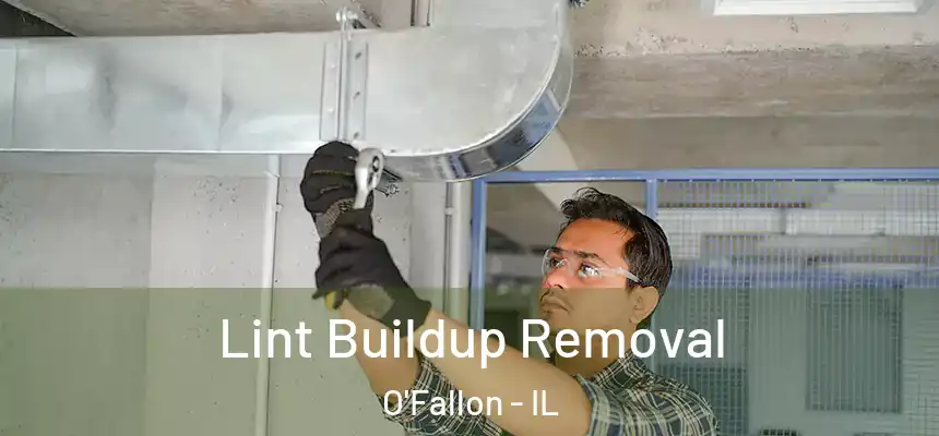  Lint Buildup Removal O'Fallon - IL