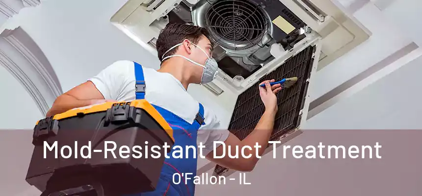  Mold-Resistant Duct Treatment O'Fallon - IL
