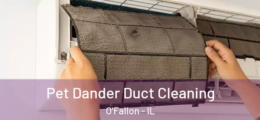  Pet Dander Duct Cleaning O'Fallon - IL