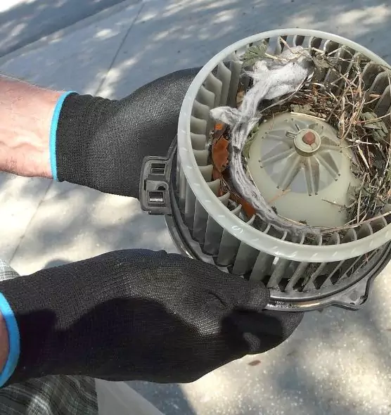 About Air Duct Rat Removal in O'Fallon, IL