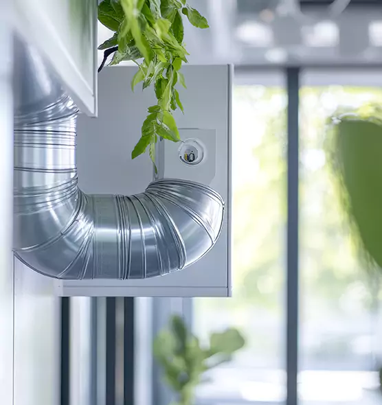 Professional Eco-Safe Dryer Vent Cleaning in O'Fallon, IL