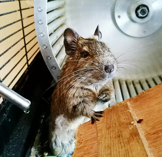 Why Homeowners & Businesses Trust Us O'Fallon, IL