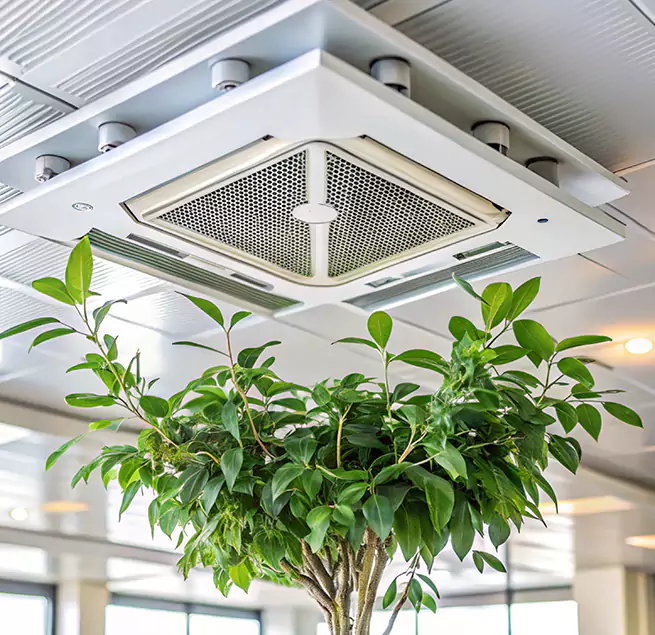 Why Homeowners & Businesses Trust Us in O'Fallon, IL?