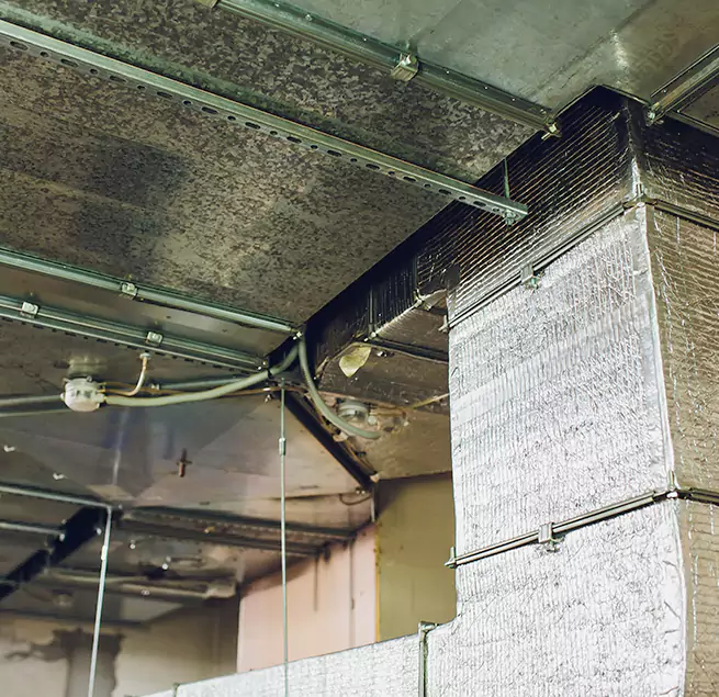 Why Homeowners & Businesses Trust Us in O'Fallon, IL?