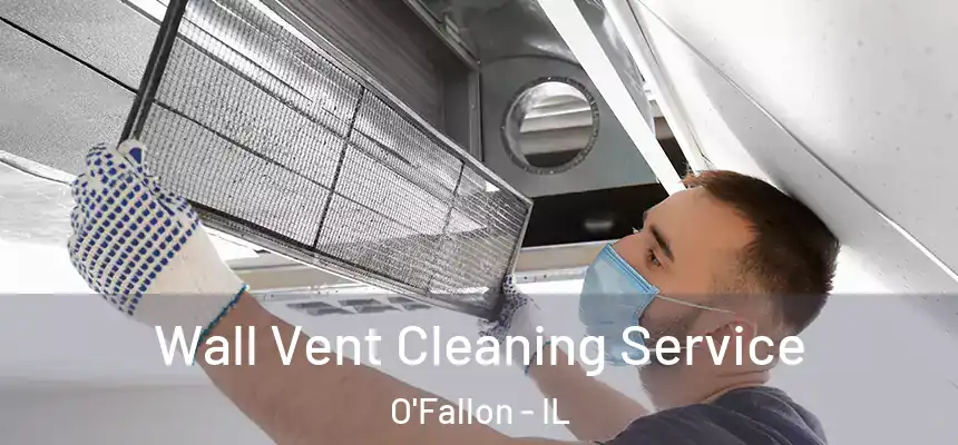 Wall Vent Cleaning Service O'Fallon - IL